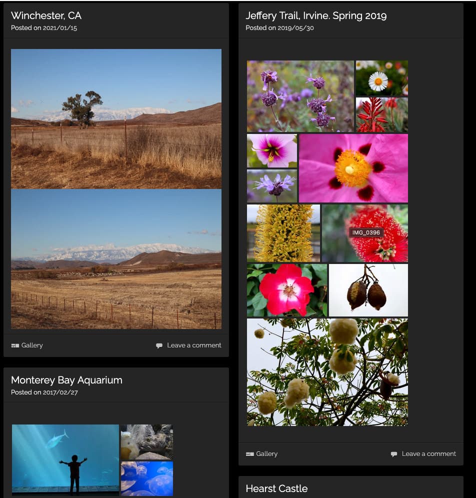 Photography Portfolio